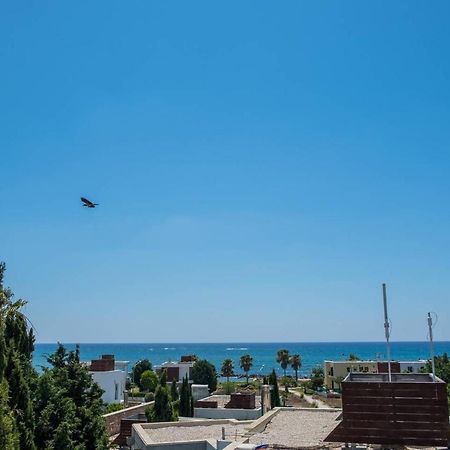 Lighthouse View Villa 파포스 외부 사진