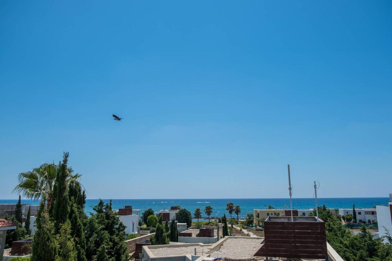 Lighthouse View Villa 파포스 외부 사진